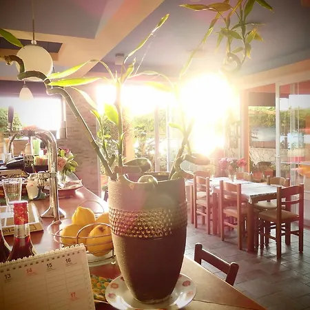 招待所 丹帝迪斯海边旅馆 3*