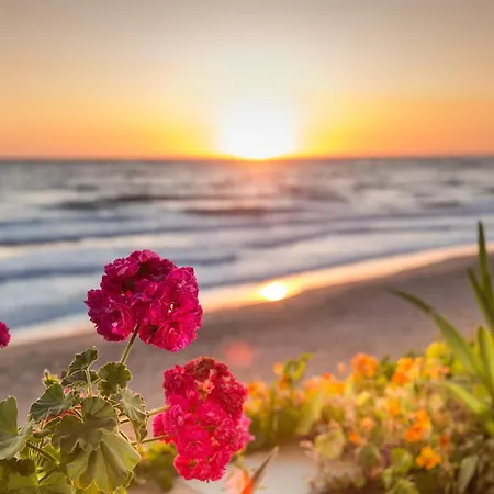 招待所 丹帝迪斯海边旅馆 阿齐欧斯·贡多斯